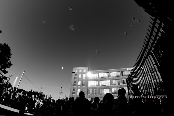 _BIA0066