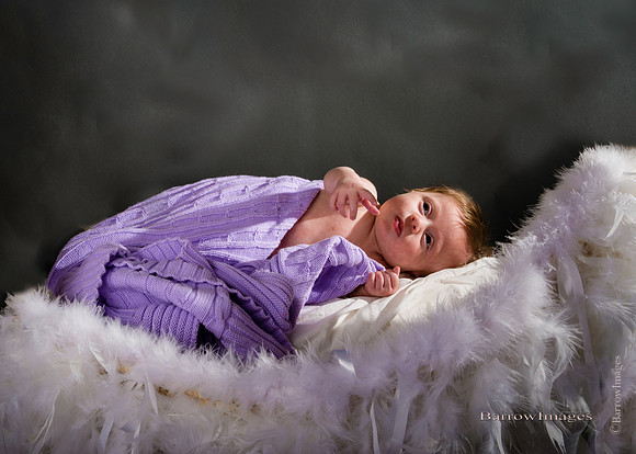 © BarrowImages