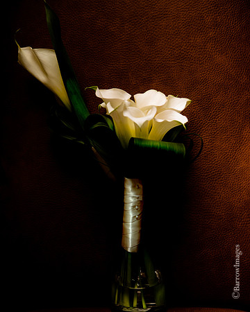 © BarrowImages