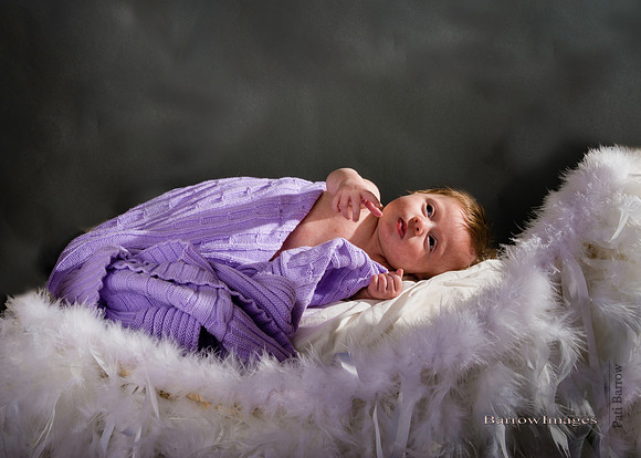 © BarrowImages